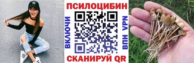 МЕГА tor  наркошоп  Юрюзань  Псилоцибиновые грибы Psilocybe 